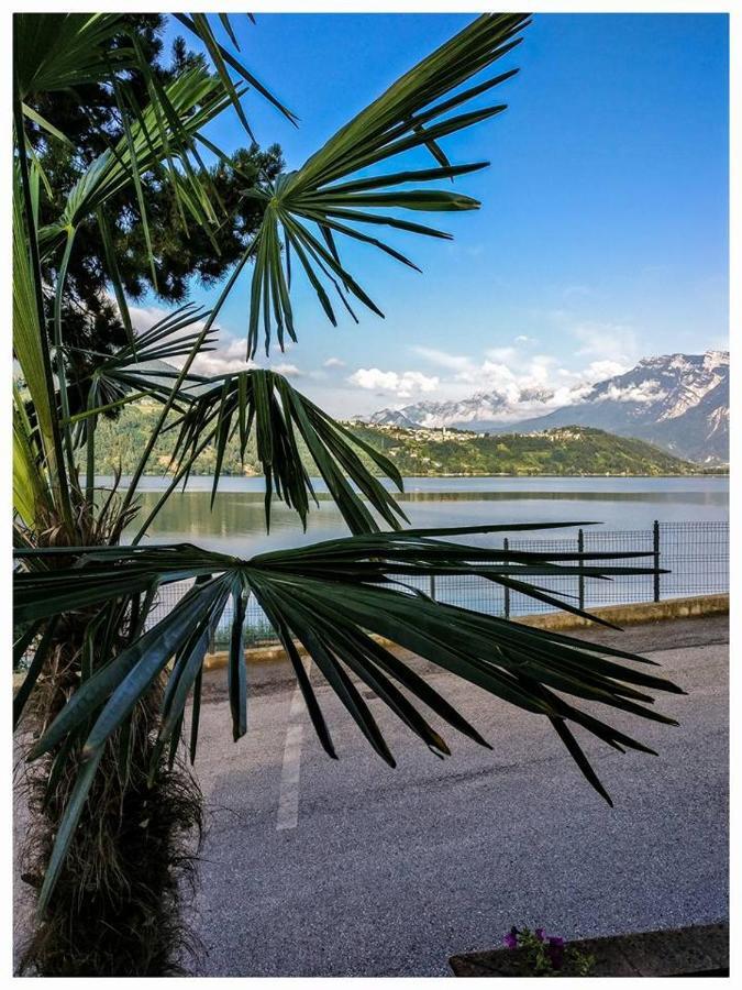 Happy Days Sul Lago Pergine Valsugana Esterno foto